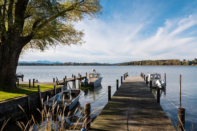 力的比賽 力的比賽