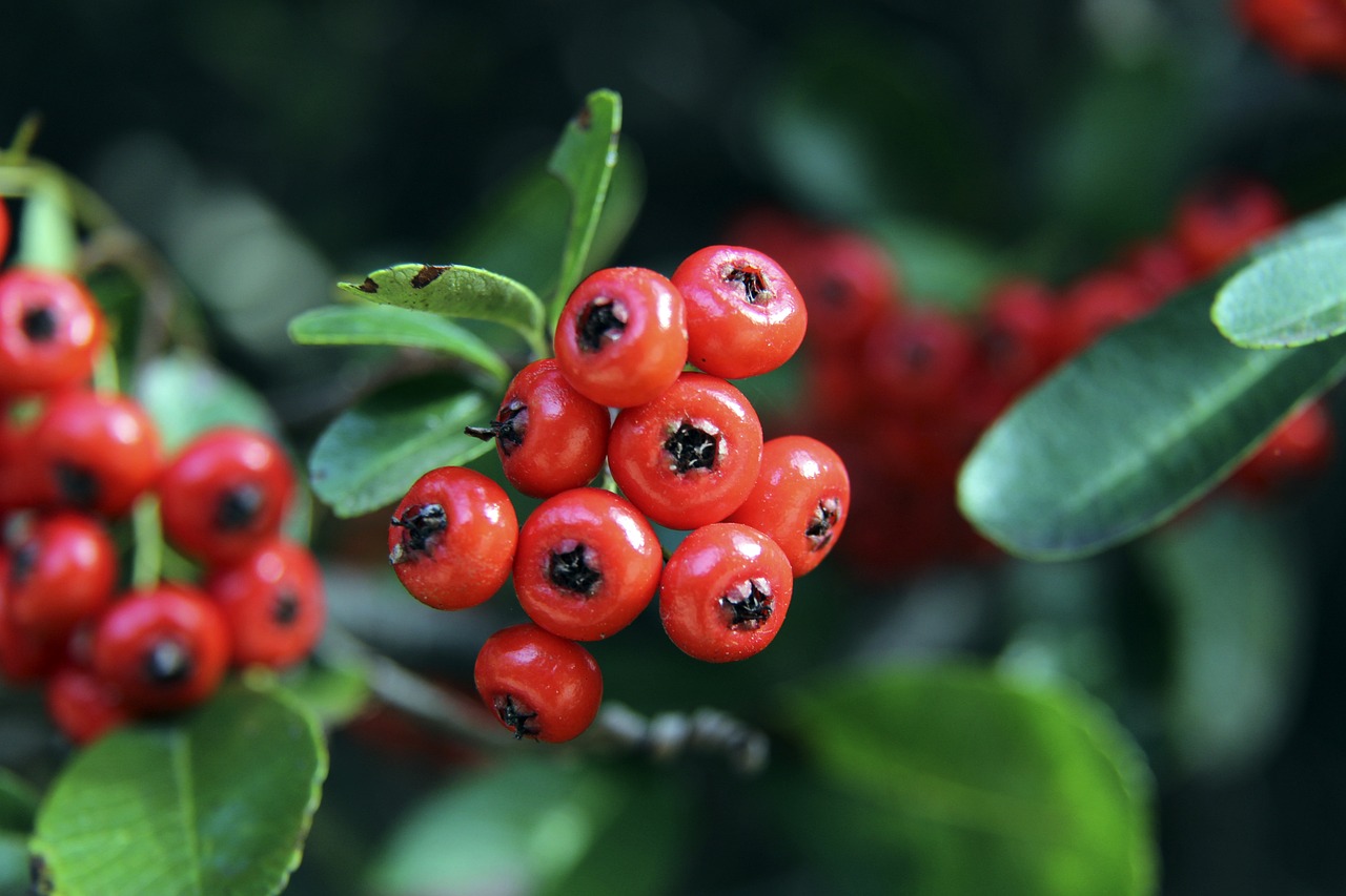 体育选手 体育选手