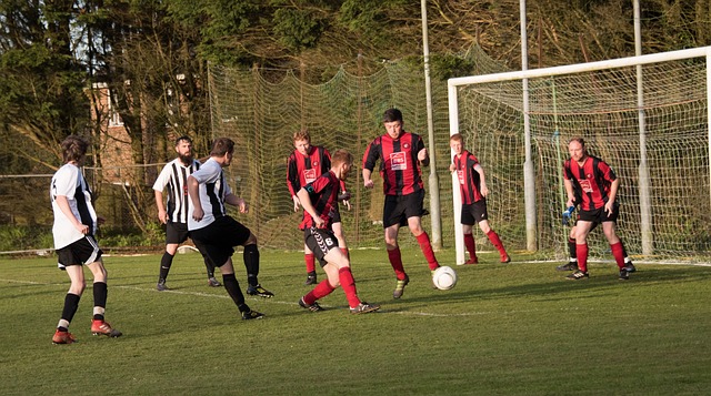 也成为他们 也成为他们