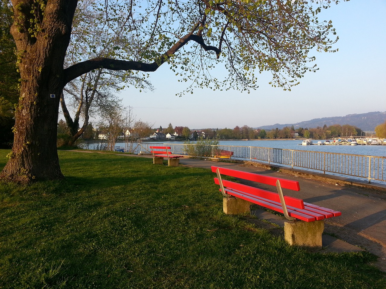 前尤文球员 前尤文球员