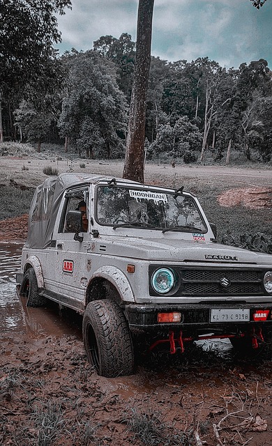 包括高科技 包括高科技