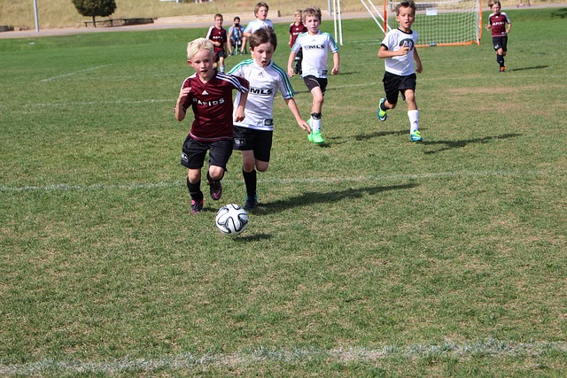 多元文化交 多元文化交