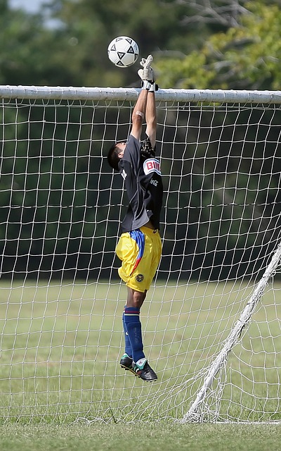 作为葡萄牙 作为葡萄牙