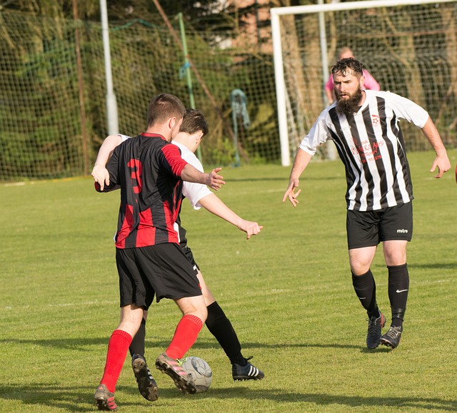 想而努力拼 想而努力拼